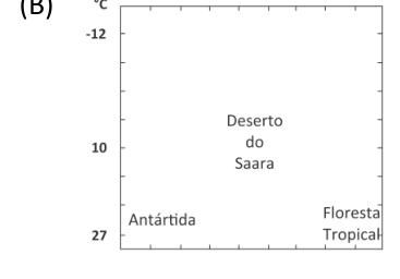 Imagem da alternativa B