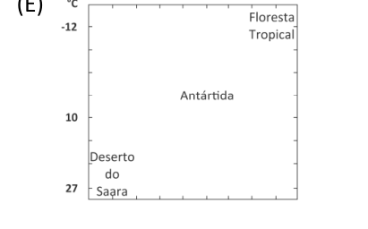 Imagem da alternativa E